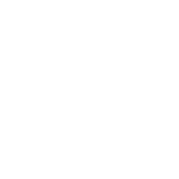 Architectural Design